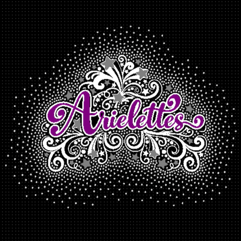 2025 Arielettes Glitter and Rhinestones Spectacular Bling Design (Choose your shirt type)