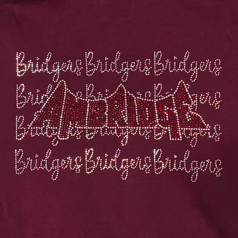 Ambridge Bridgers Logo and Script Bling Design