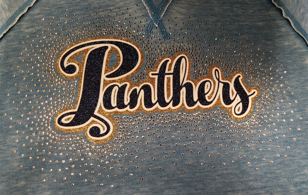 FR Panthers Script